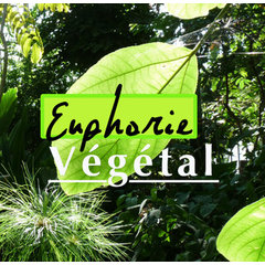 Euphorie végétal