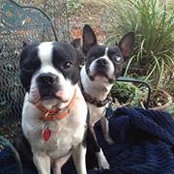 Steve Pearson's photo