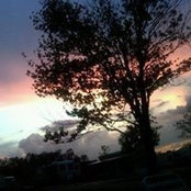 Julie Glass's photo