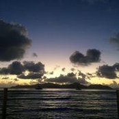 Rosa Pandolfo's photo