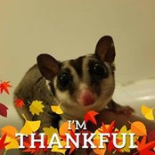 Tamara Rudnicki's photo