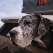 Tucker Spofford's photo