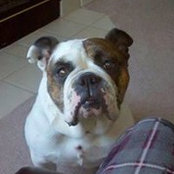 Paul Cherek's photo