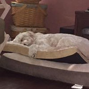Susan Sperduto-Bobjak's photo