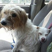 Gia Fiorello's photo