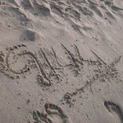 Giulia Scinelli's photo