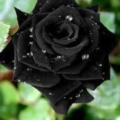 Karla Ramirez Jimenez's photo
