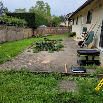 Unusable backyard