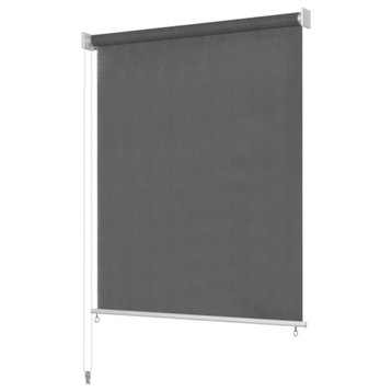 Vidaxl Outdoor Roller Blind 55.1"x90.5" Anthracite