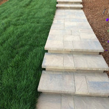 Backyard Landscaping