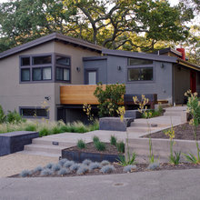 Backyard Kitchen