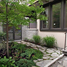 Landscape Ideas