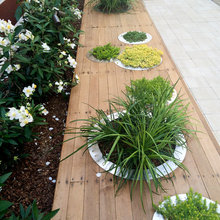 Planter Boxes
