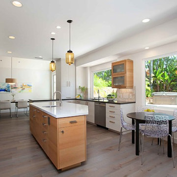 European Minimalism in Rancho Peñasquitos