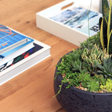 indoor plantings