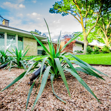 Mid-Century Modern Curb Appeal | Preston Hollow Architectural Pathways