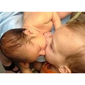 Tammy Hollobaugh's photo