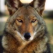 Deb Edwards's photo
