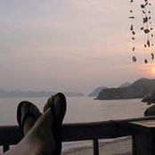 Laura Capocchi's photo