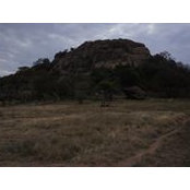 Philip Masonda's photo