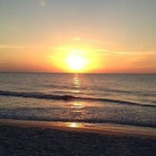 Jamie Milks's photo