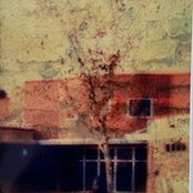 Kate Maness's photo