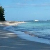 Roger Wills's photo