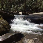 Jim Sfarnas's photo