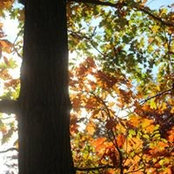 Troy Hostetler's photo
