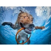 Michael Halter's photo