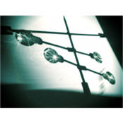 Heather Tt's photo