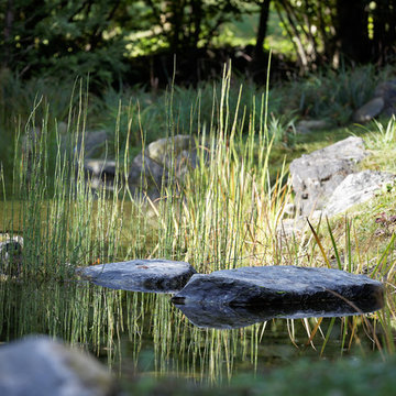 Jardin "sauvage" dans les pyrénées