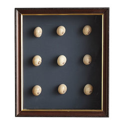 Shell Gallery Art - Snail - Artwork