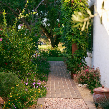 Jenko Project : Western Outdoor Designs