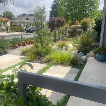 Front Yard Favorite