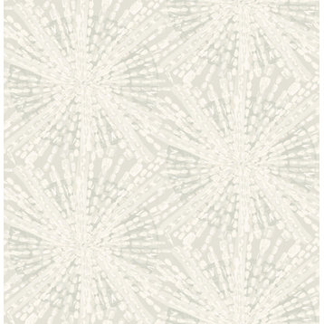 Silver Sunburst Peel & Stick Wallpaper Sample