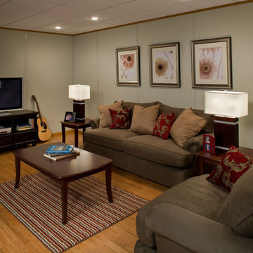Basement Finishing Ideas