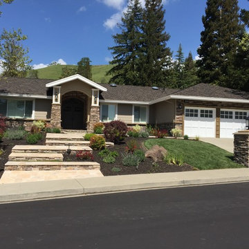 Alamo Exterior Renovation