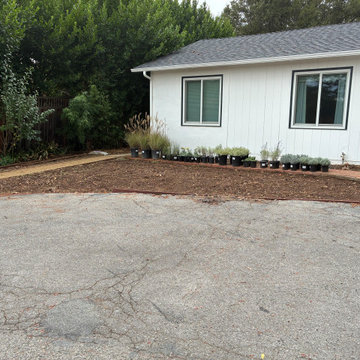 Soft Tuscan Low-Water Ornamental Grass Landscaping