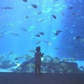 Bonny Boyd's photo