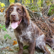 Gwendolynn Lappin's photo