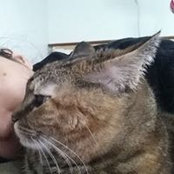 Foto von Katy Pepper