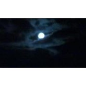 Derf Herder's photo