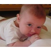 Patty Wessel-Mantell's photo