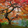 jennifer_skinner