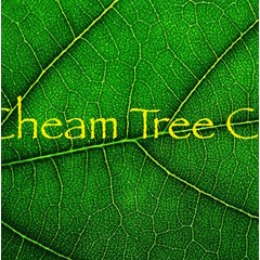 Tree Consulting & Tree Service - Cheam Tree Care