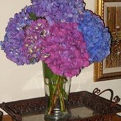 Beverly Del Fava's photo