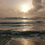 Bruno Mammola's photo