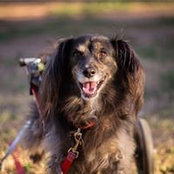 Alisha Hernandez's photo
