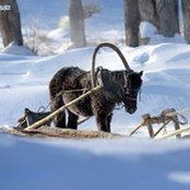 Deb Hershner's photo